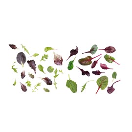 Έτοιμες σαλάτες, micro greens 